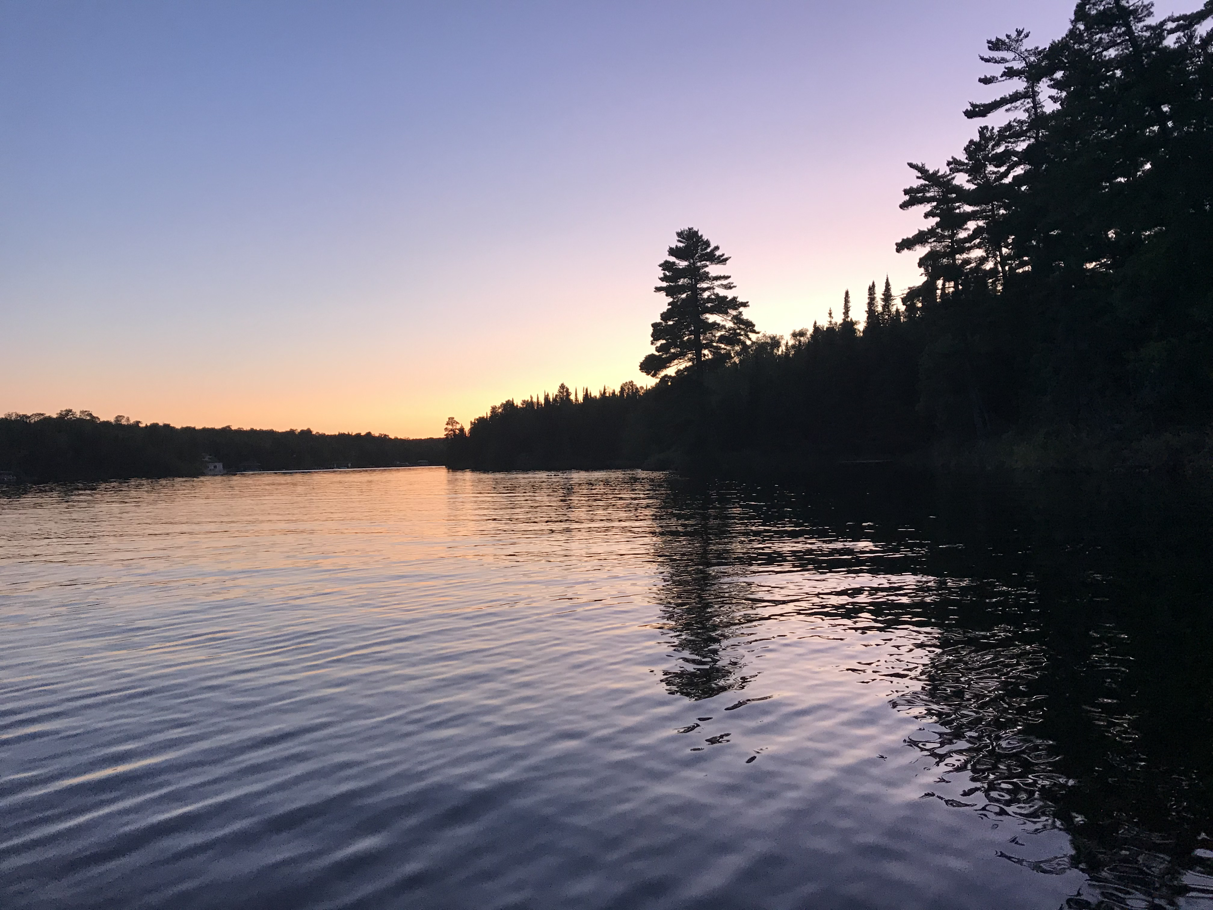 Sunset on Lake of the Woods — calm water and pines at last light